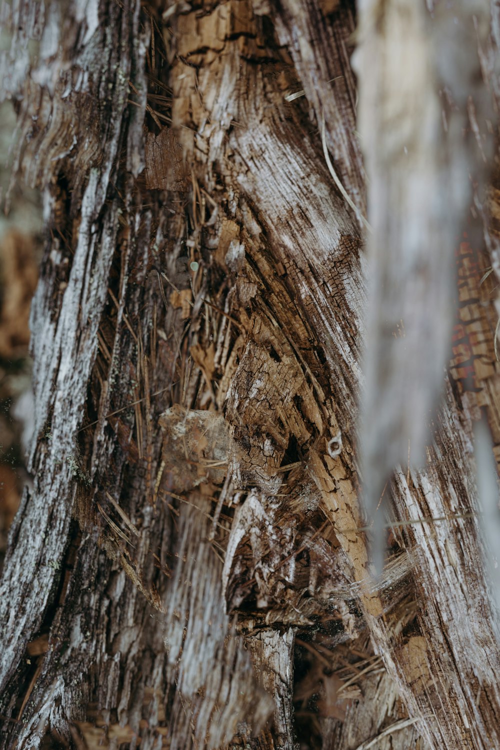 a bird is perched on a tree branch