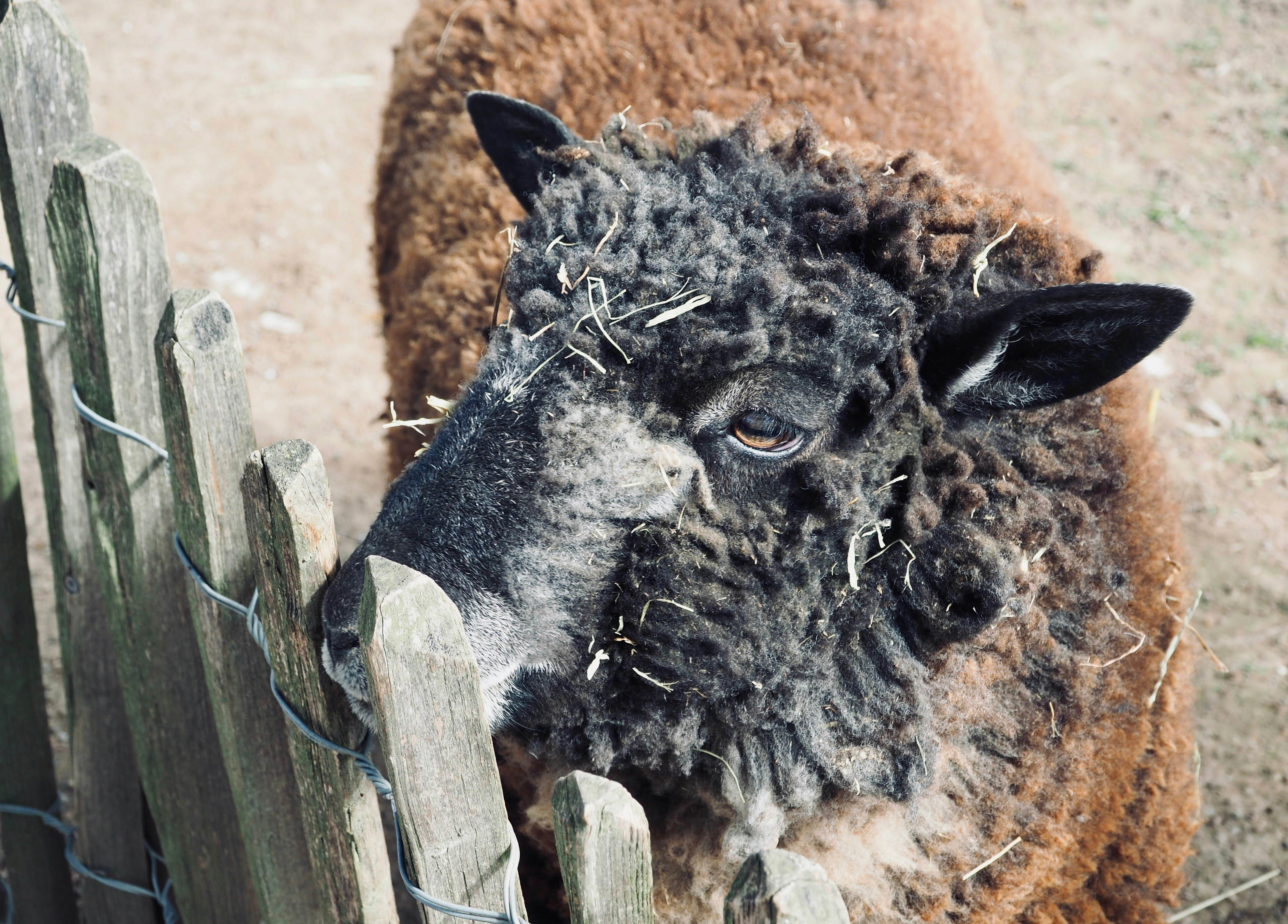 Photo by caroline_2603