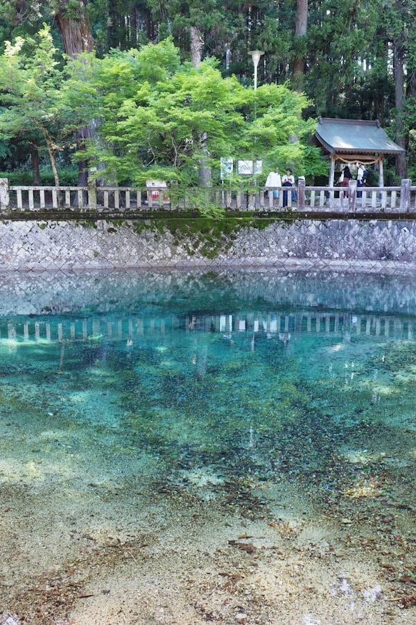 Best Times to Visit Yamaguchi: Weather & Seasons Guide