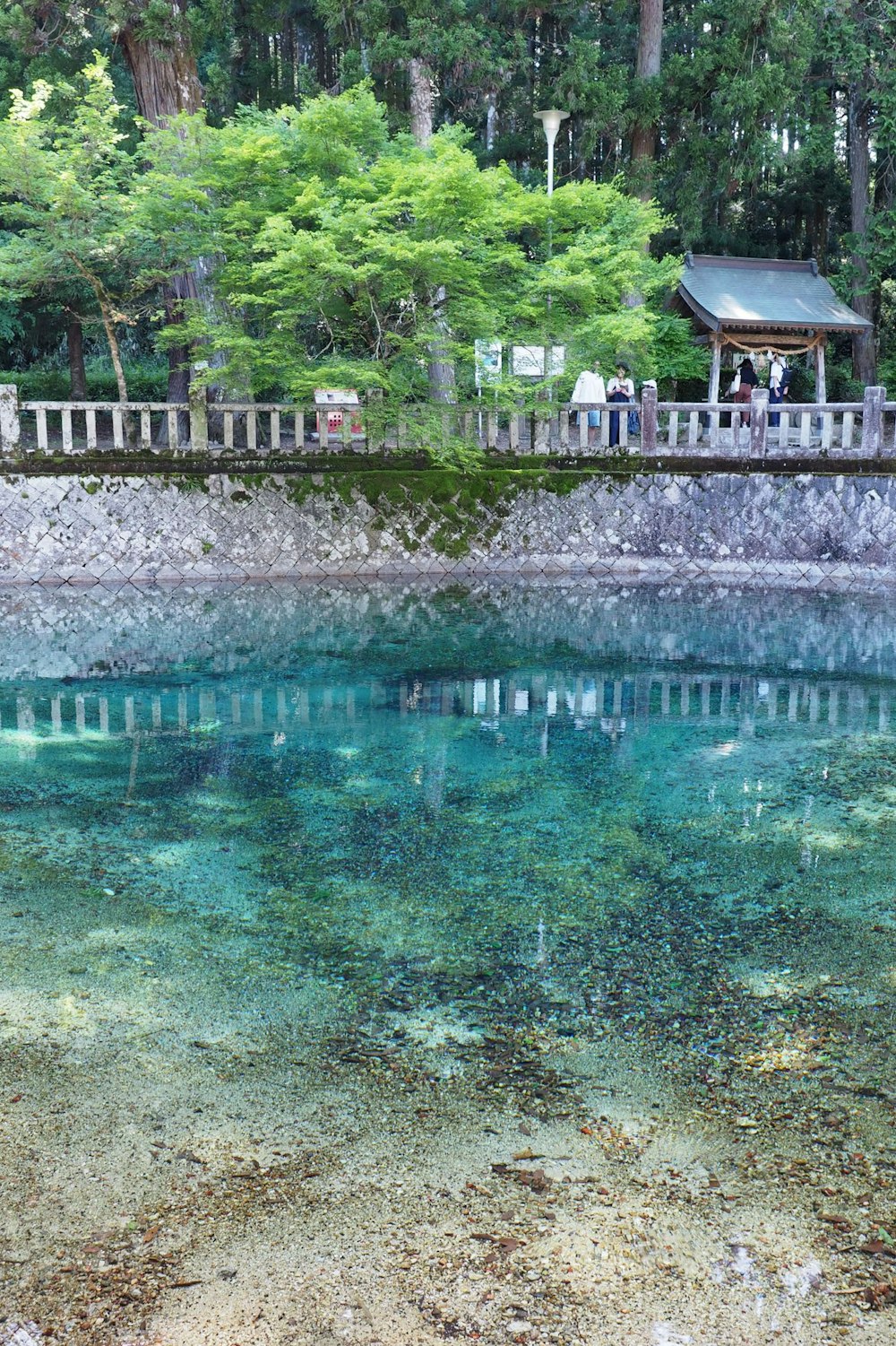 a body of water surrounded by trees and a bridge