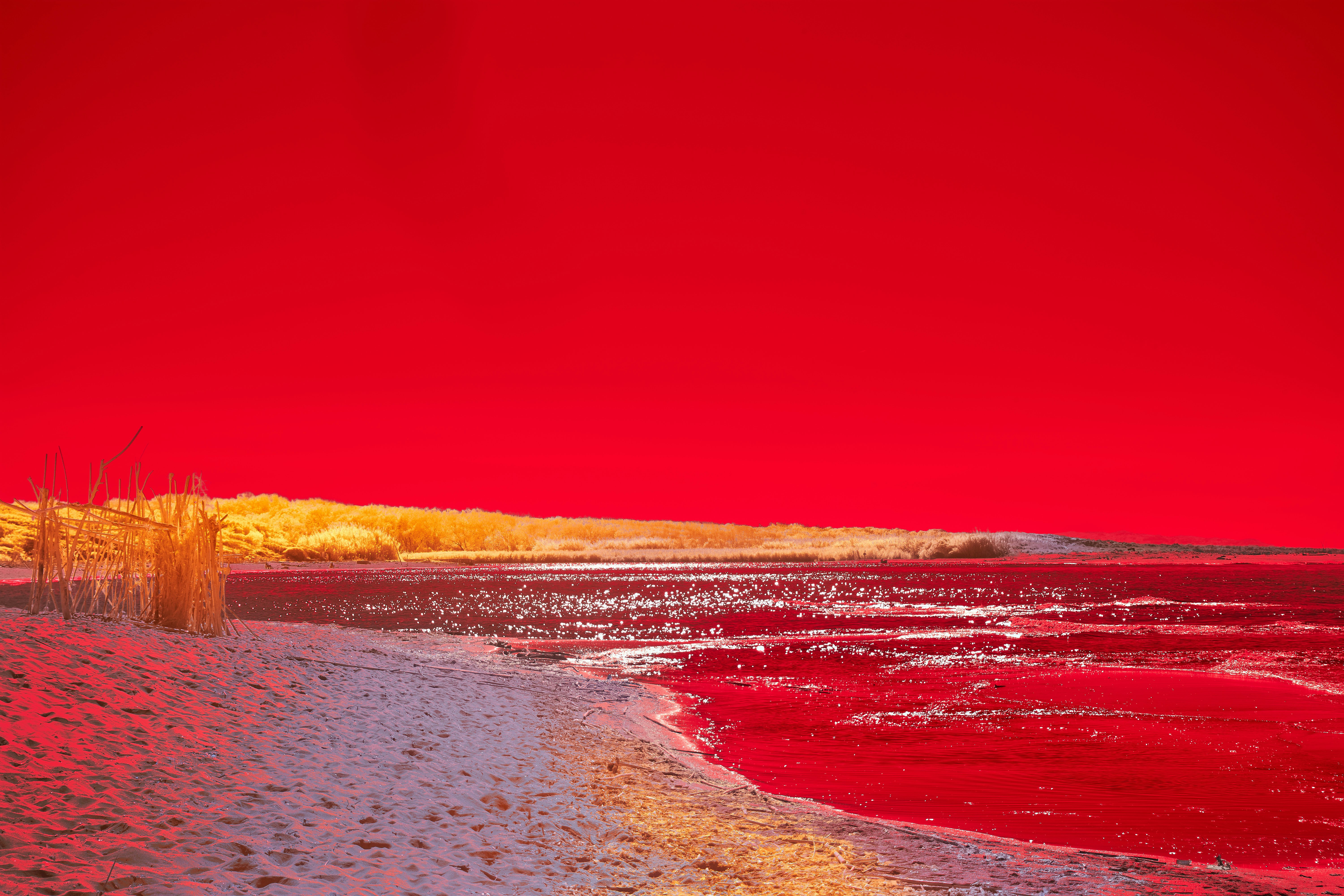 Photo by wolfgang_hasselmann