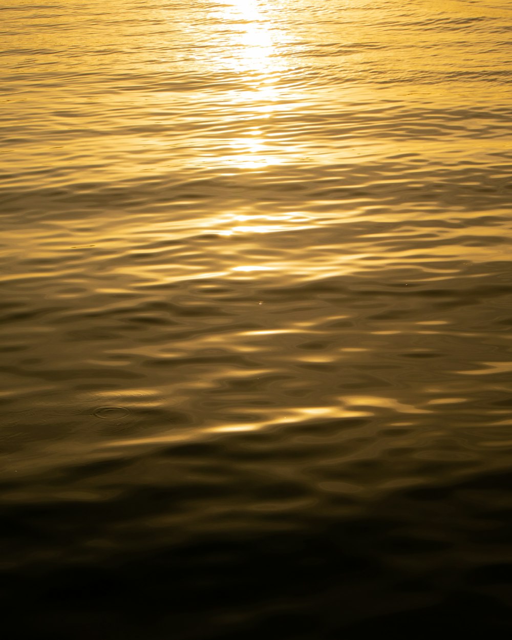una gran masa de agua con una puesta de sol en el fondo