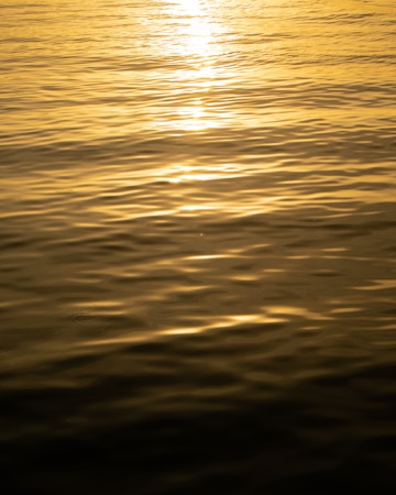 Golden light reflects off the gentle waves of a body of water, creating a serene and warm atmosphere.