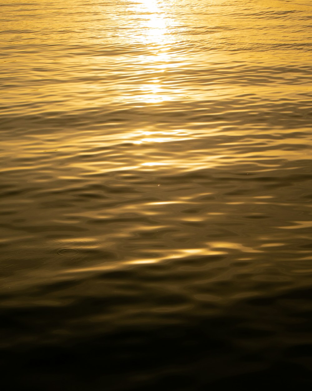 a large body of water with a sunset in the background