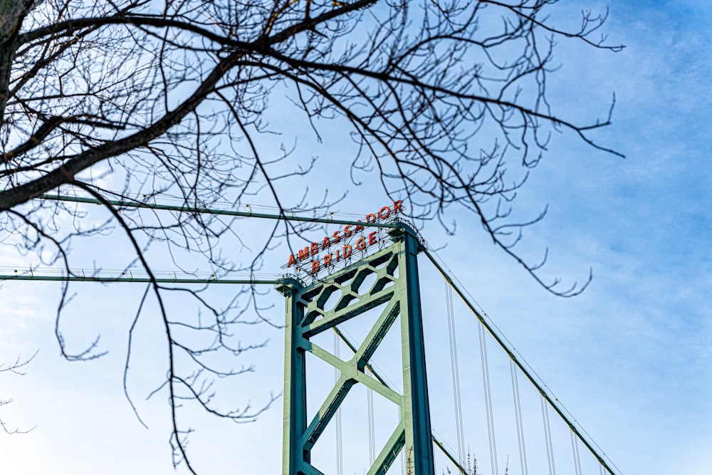 a view of a bridge with a tree in the foreground