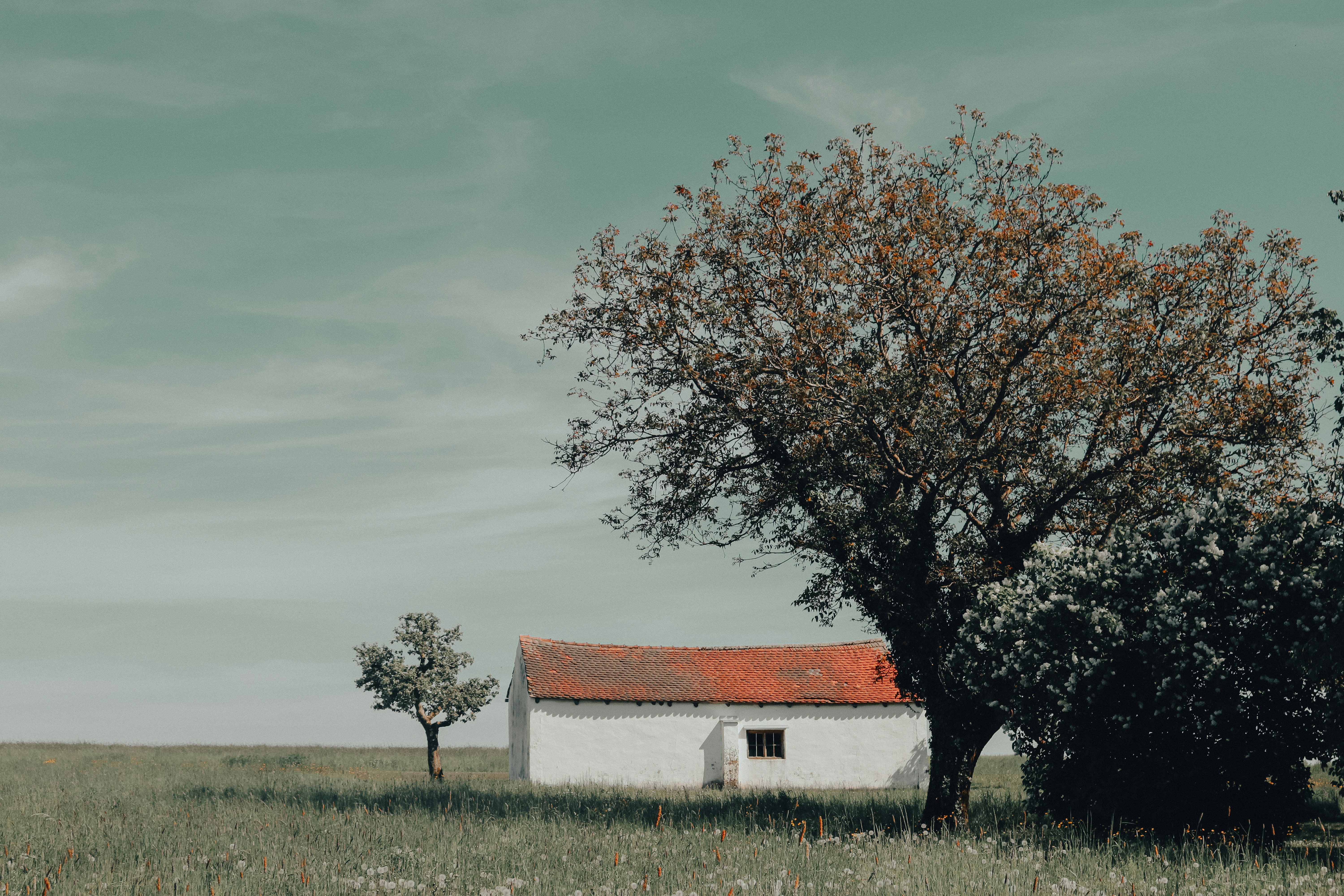 Photo by elisamoldovan