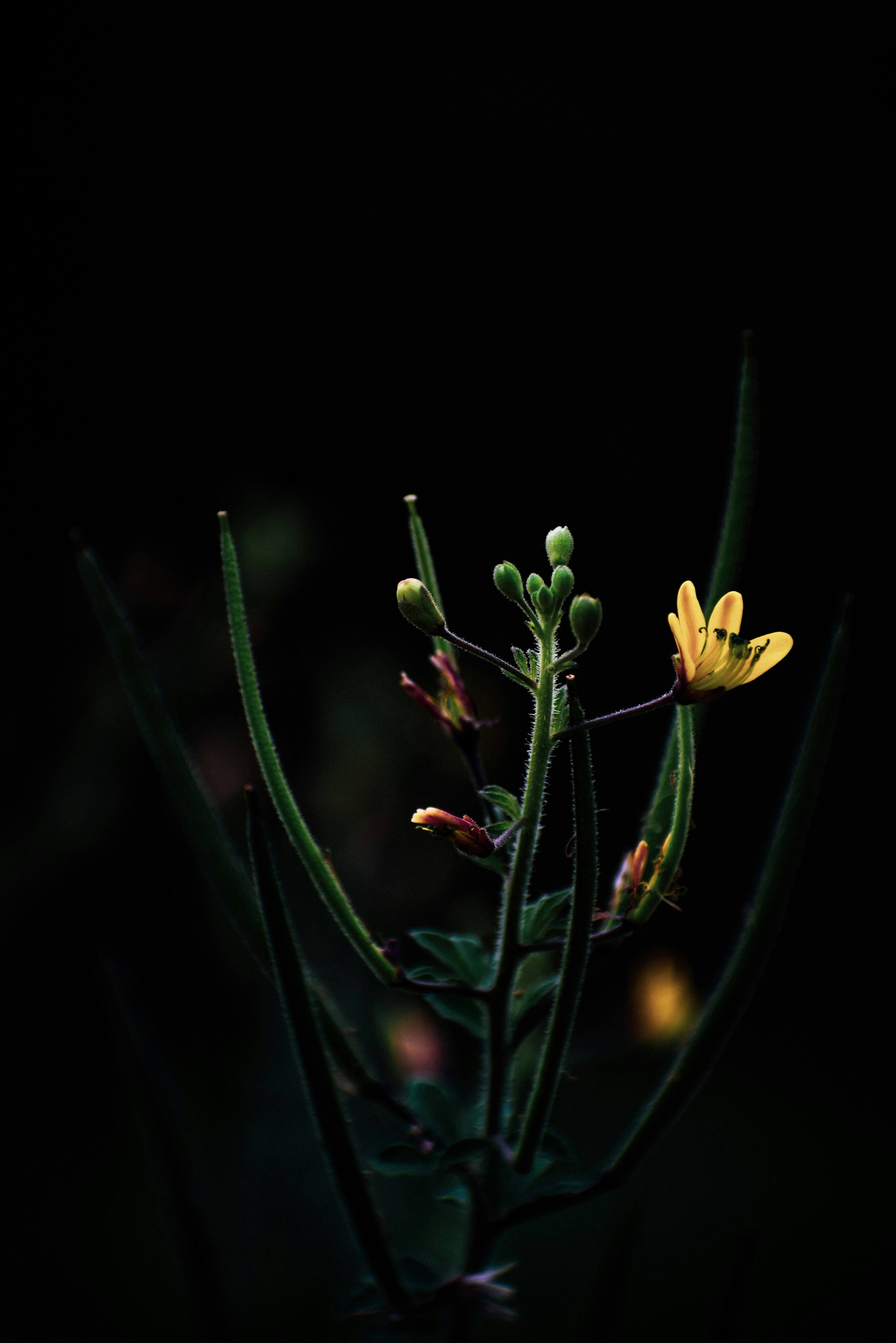 Photo by navi_photography