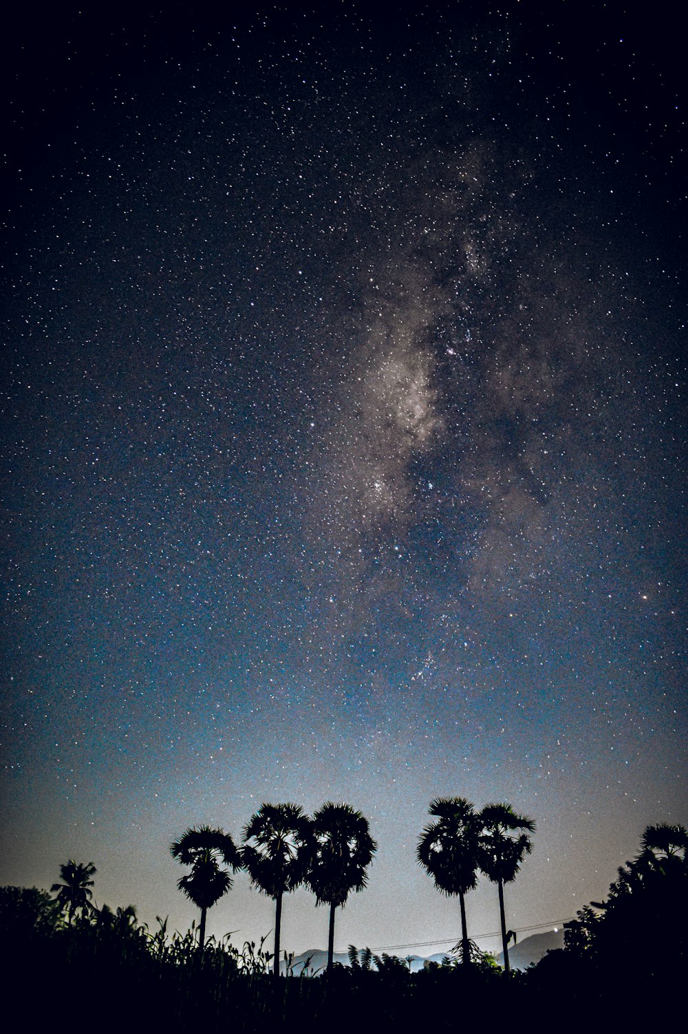 a sky view looking up at night