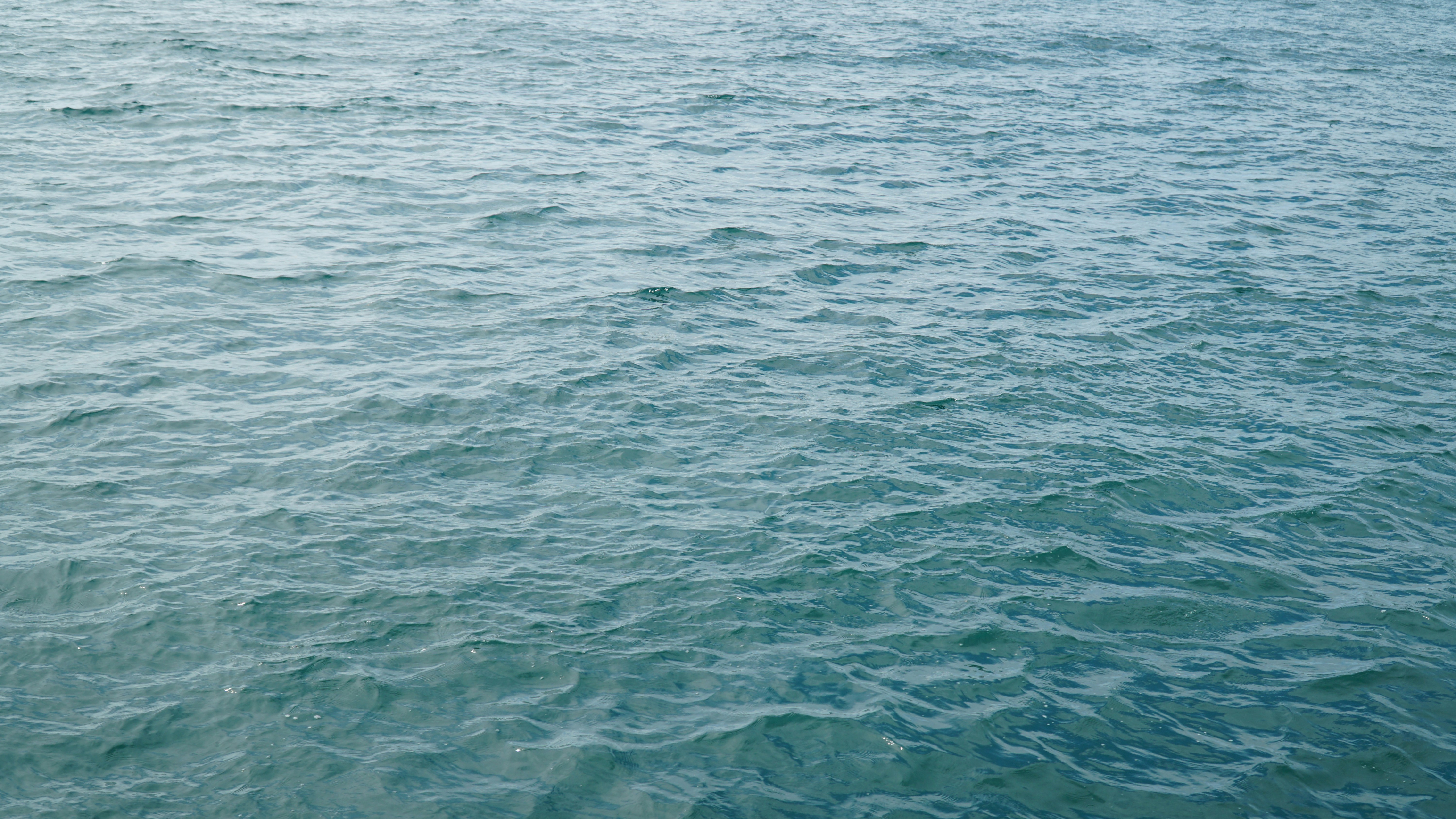 Photo by pieterestmp4