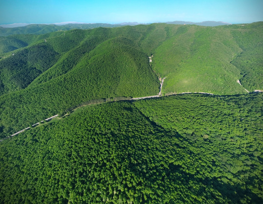 an aerial view of a lush green valley,
