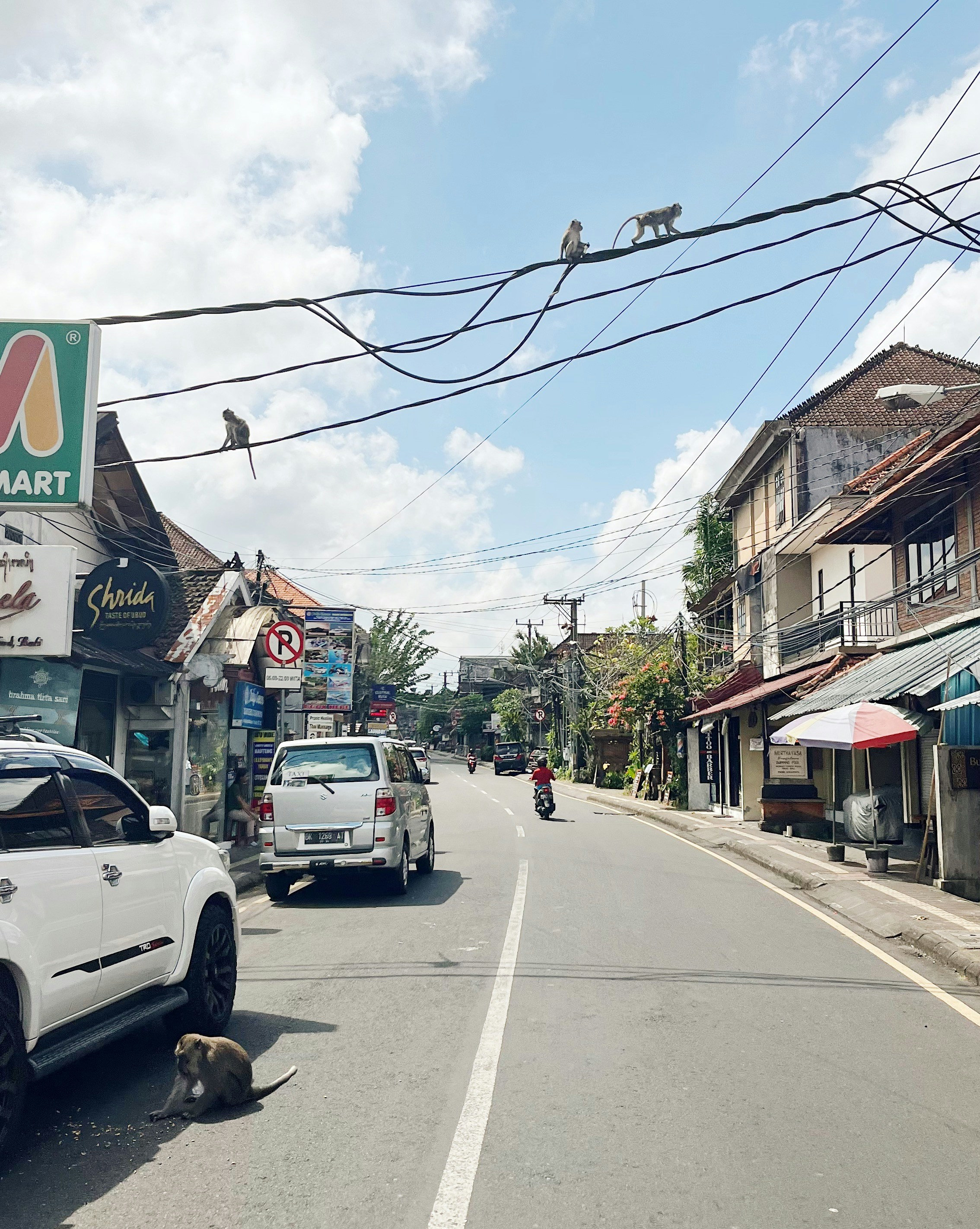 Photo by aesullivan2010