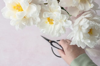 a person holding a pair of scissors near a bunch of flowers
