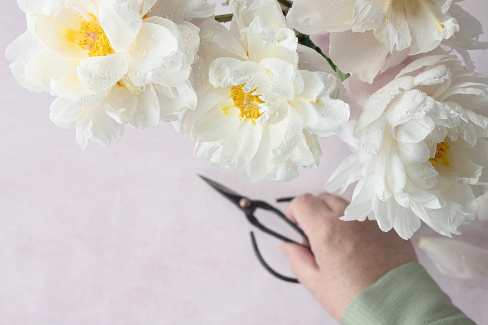 a person holding a pair of scissors near a bunch of flowers