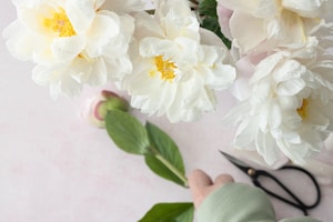 Pruning Shears