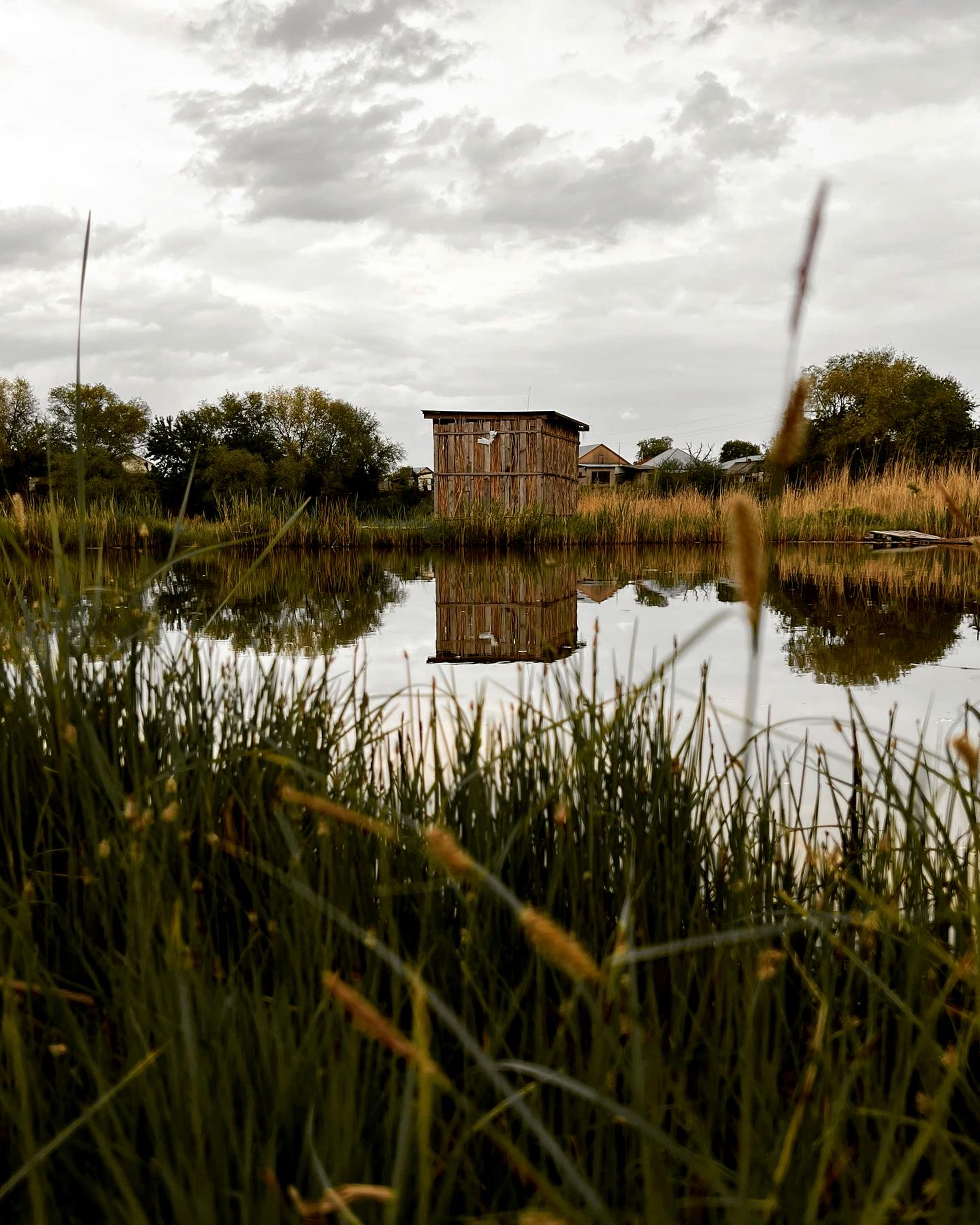 a house sitting on top of a lake next to tall grass