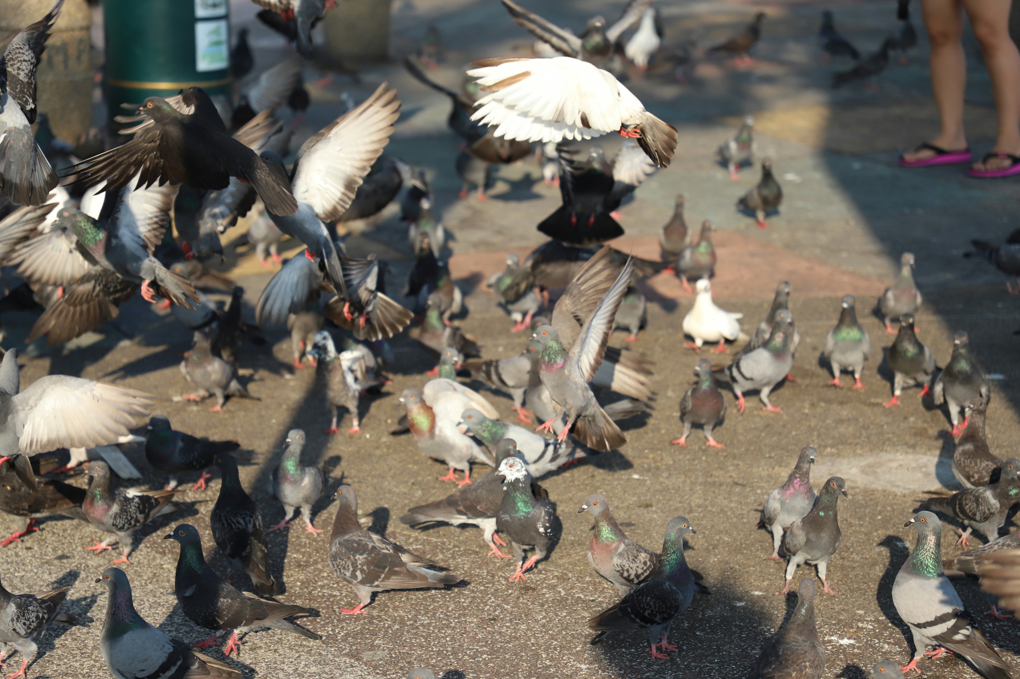 Photo by bahr_splash