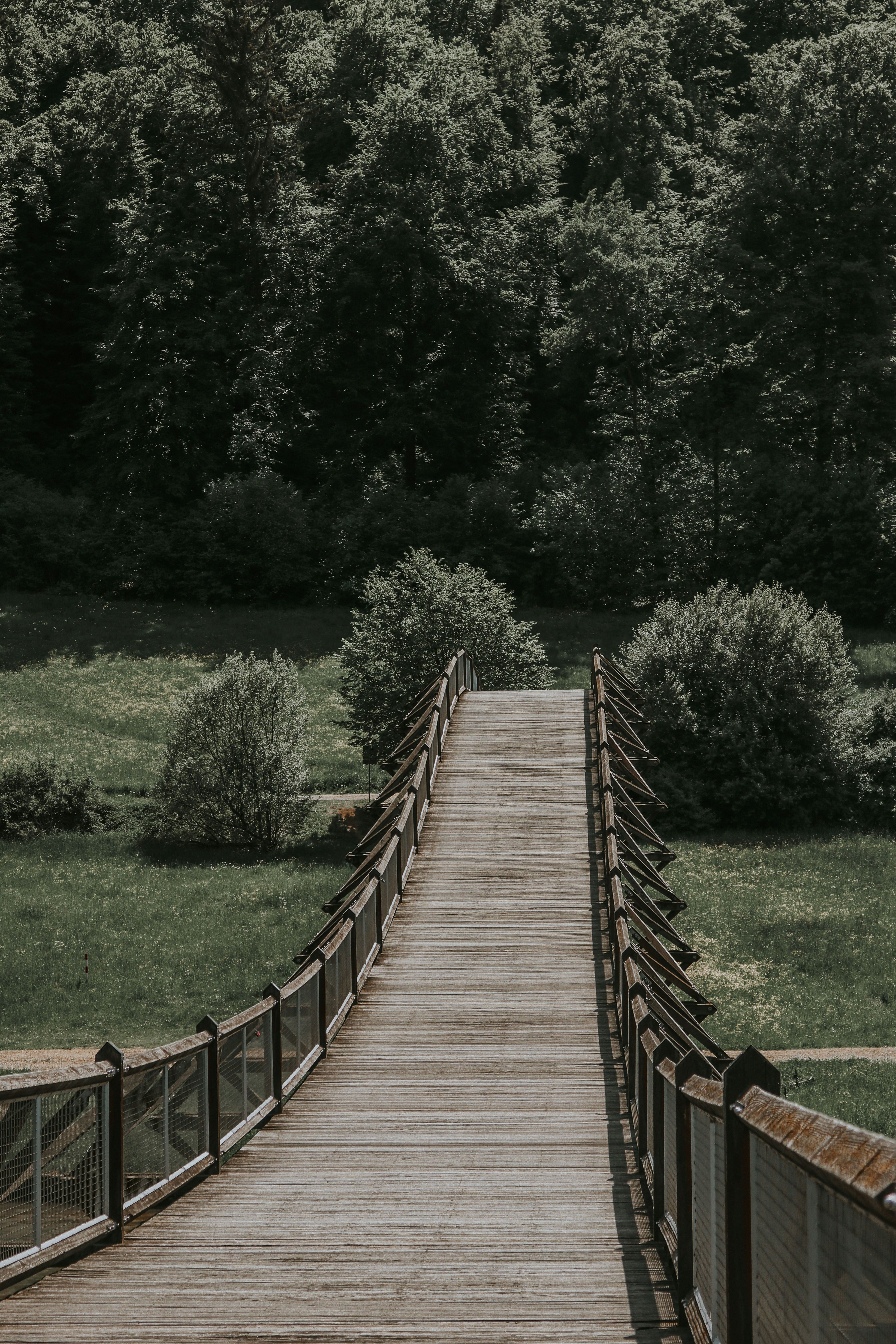 Photo by elisamoldovan