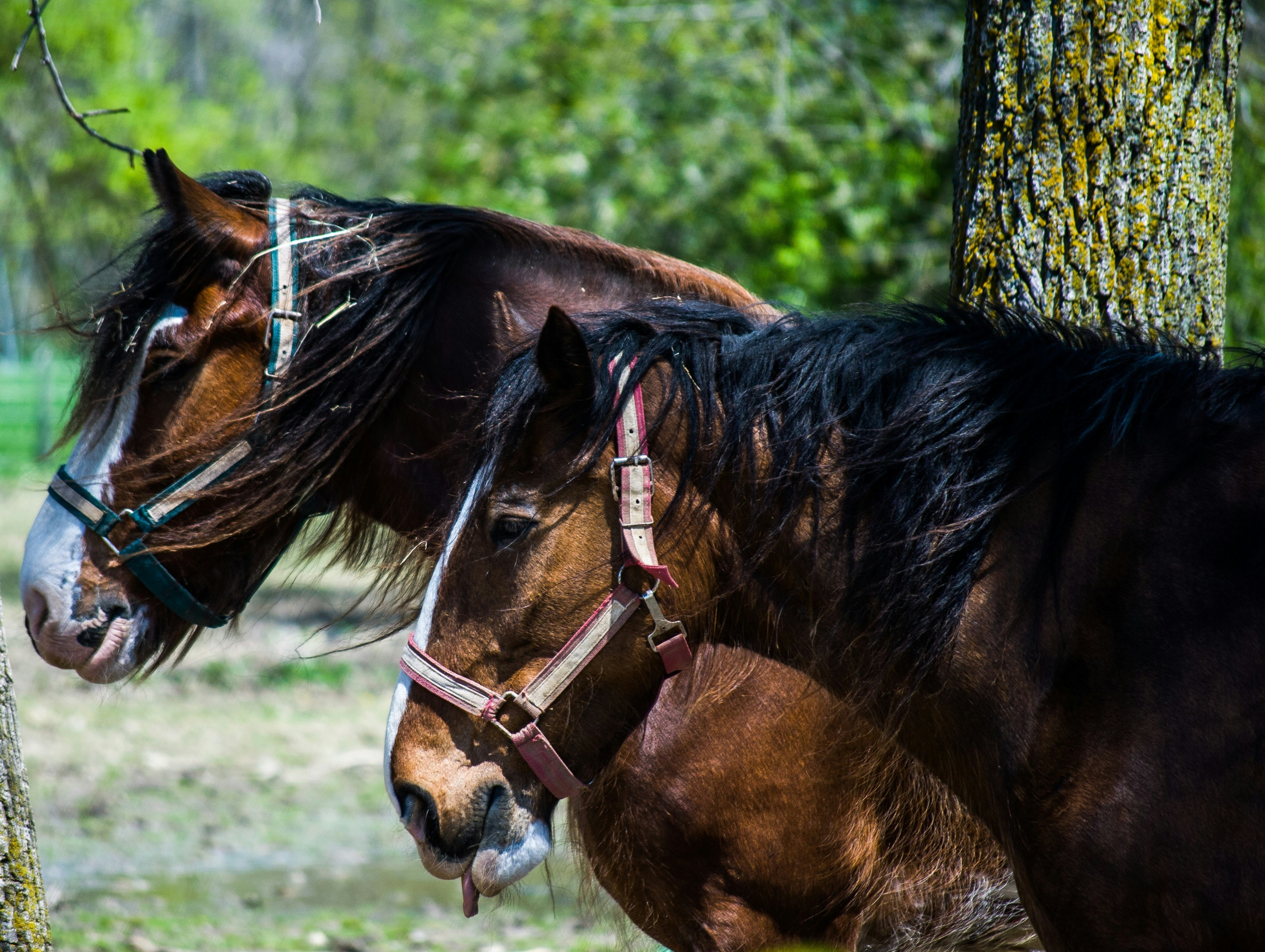 Photo by beatthebizz