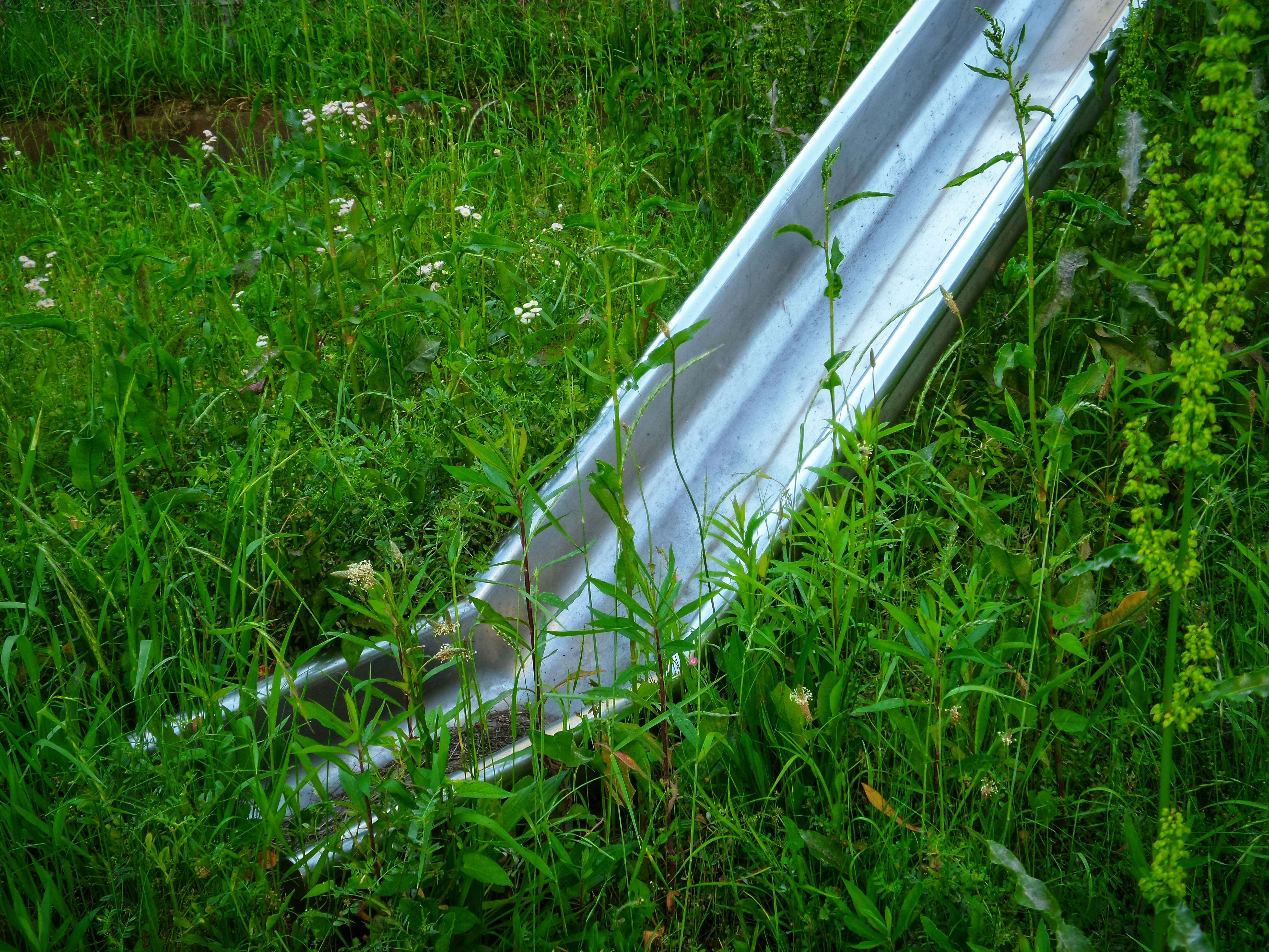 A metal slide laying in a field of tall grass photo – Free Grass Image ...