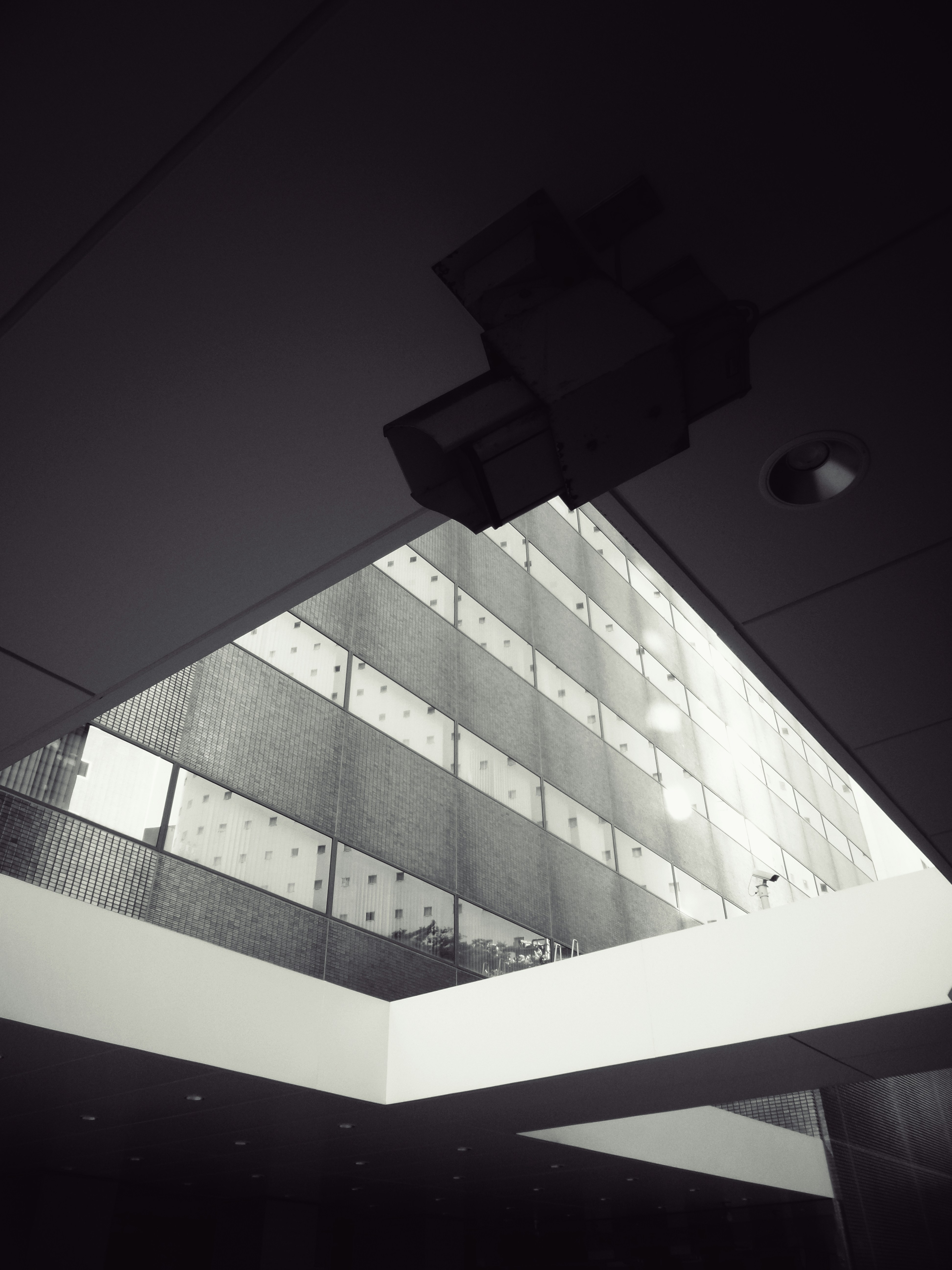 Photo by possessedphotography