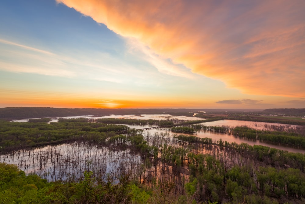 the sun is setting over a swampy area