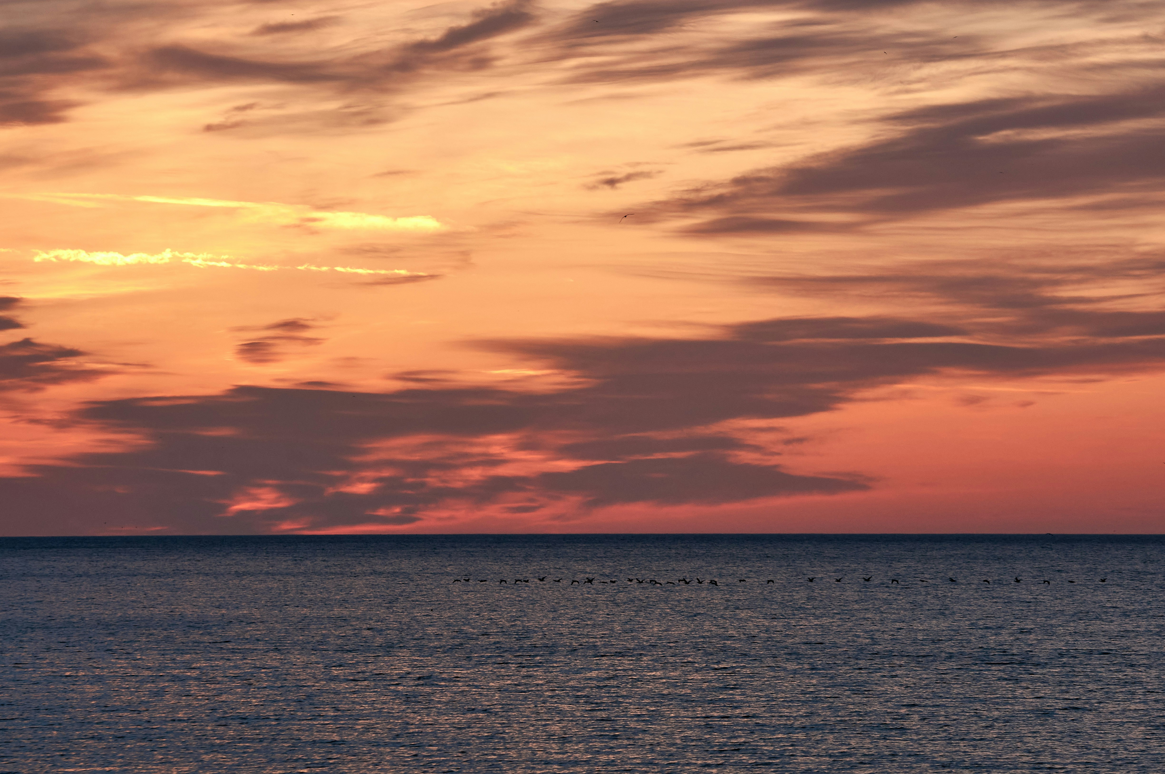 Photo by wolfgang_hasselmann