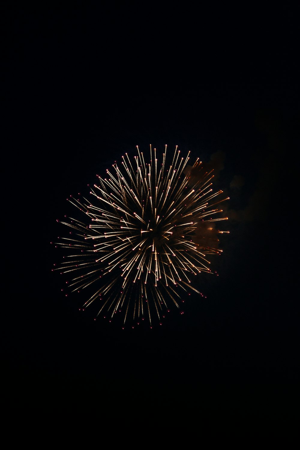 a fireworks is lit up in the dark sky