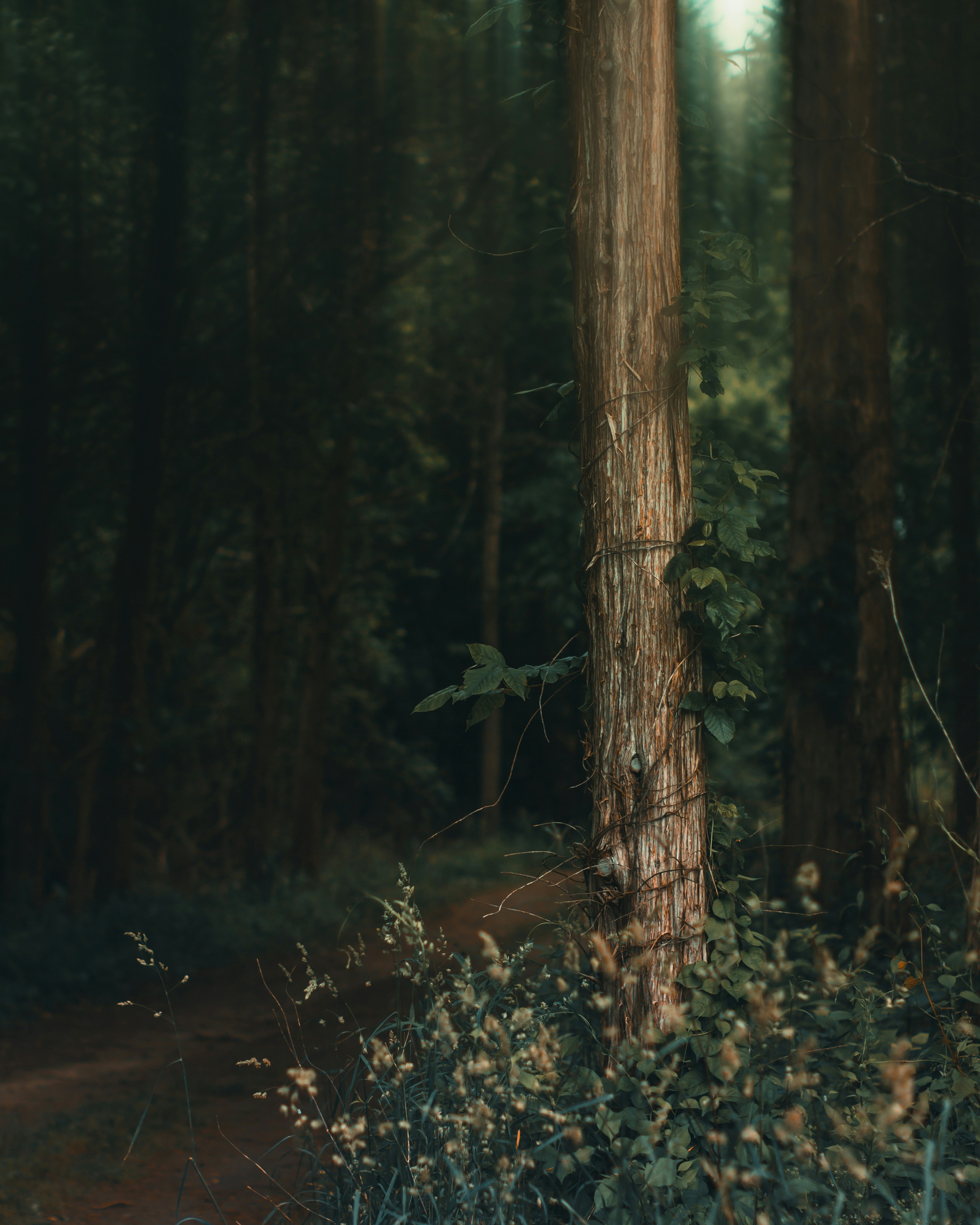 Photo by emmanuelphaeton