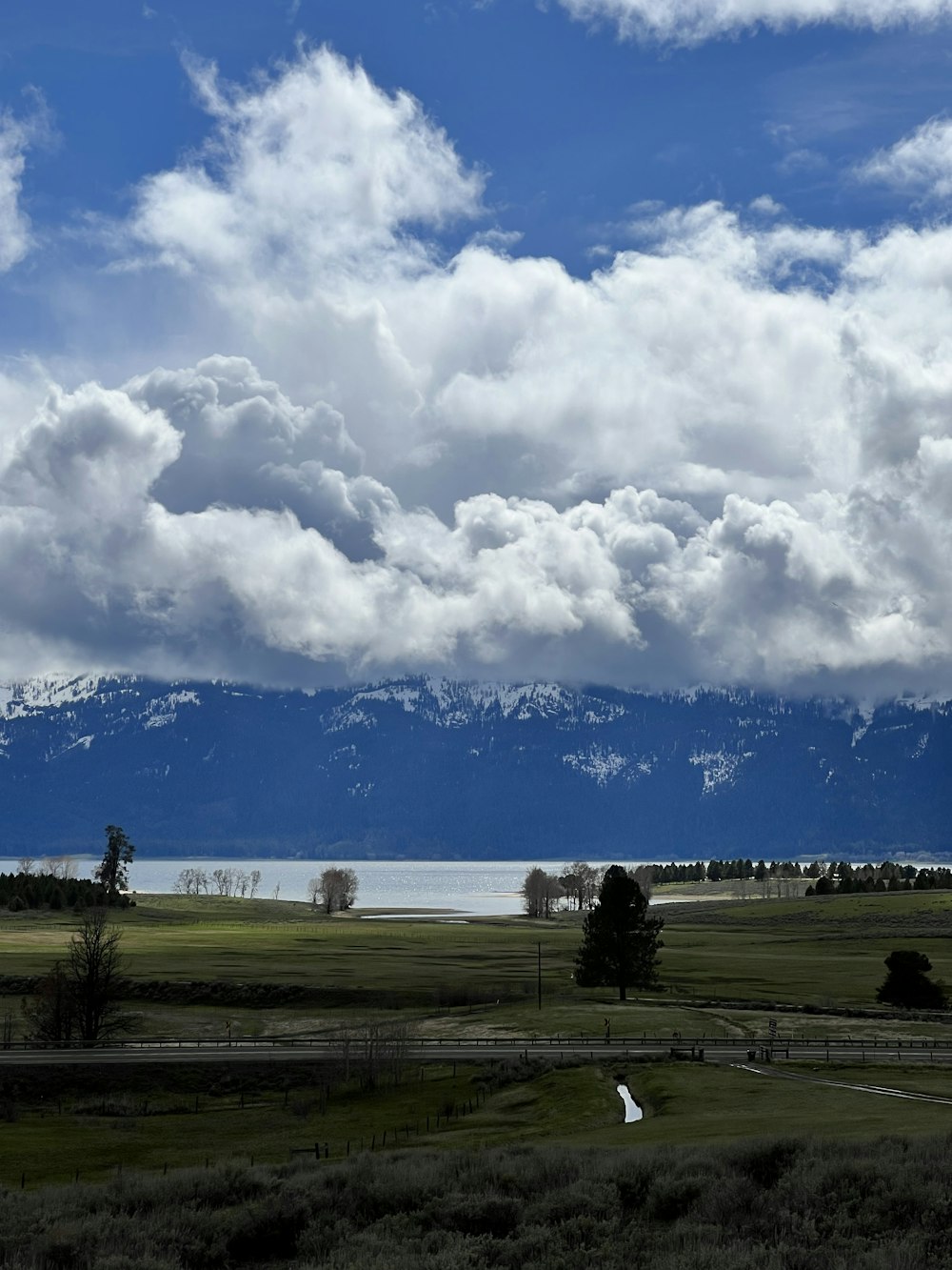 a large field with a mountain in the background