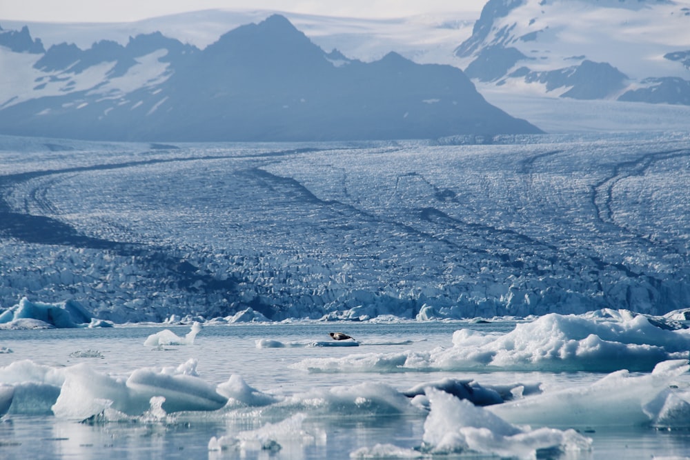 a group of icebergs floating on top of a body of water