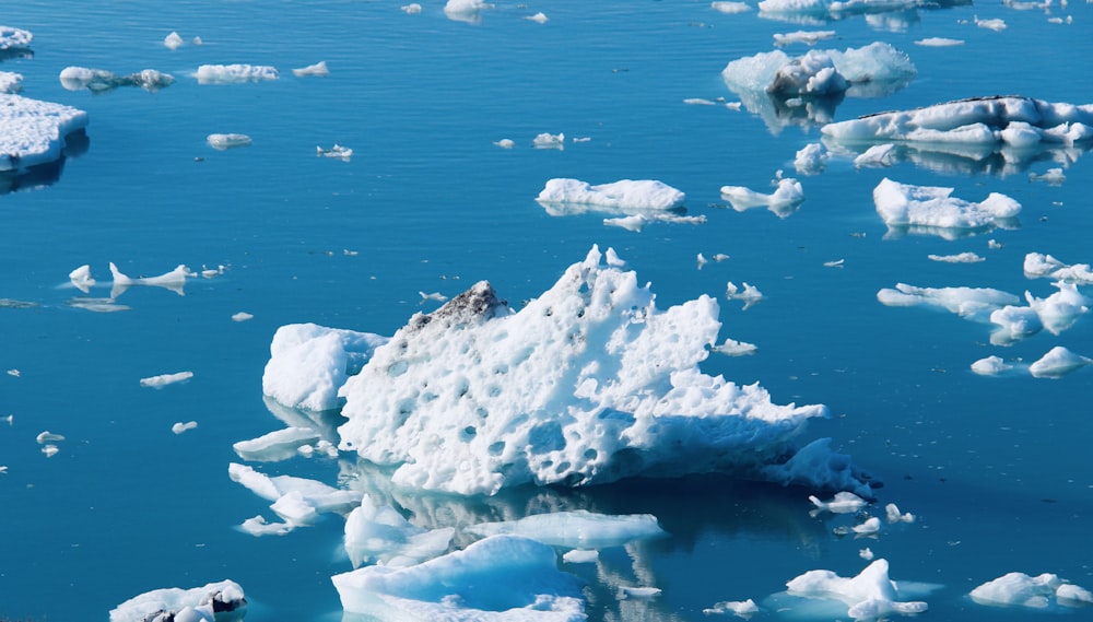 a large amount of ice floating on top of a body of water