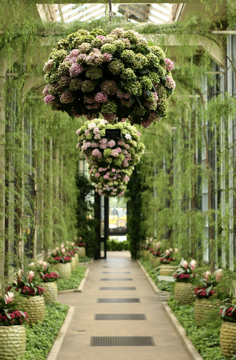 a walkway lined with potted plants and hanging baskets
