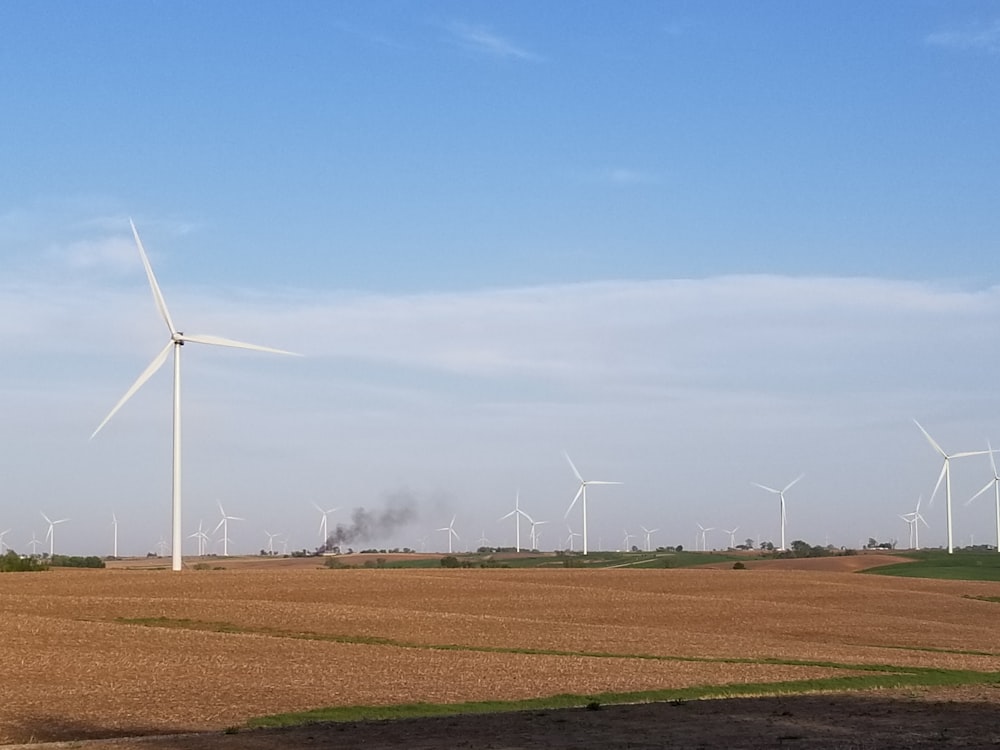 Un parque eólico con varios molinos de viento a lo lejos