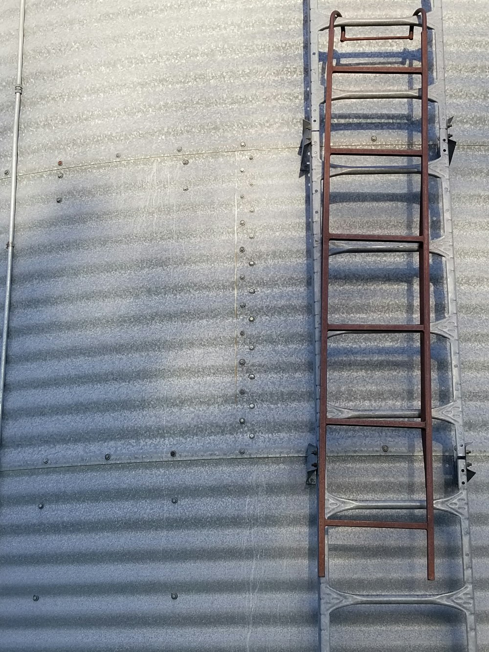 建物の側面にもたれかかるはしご