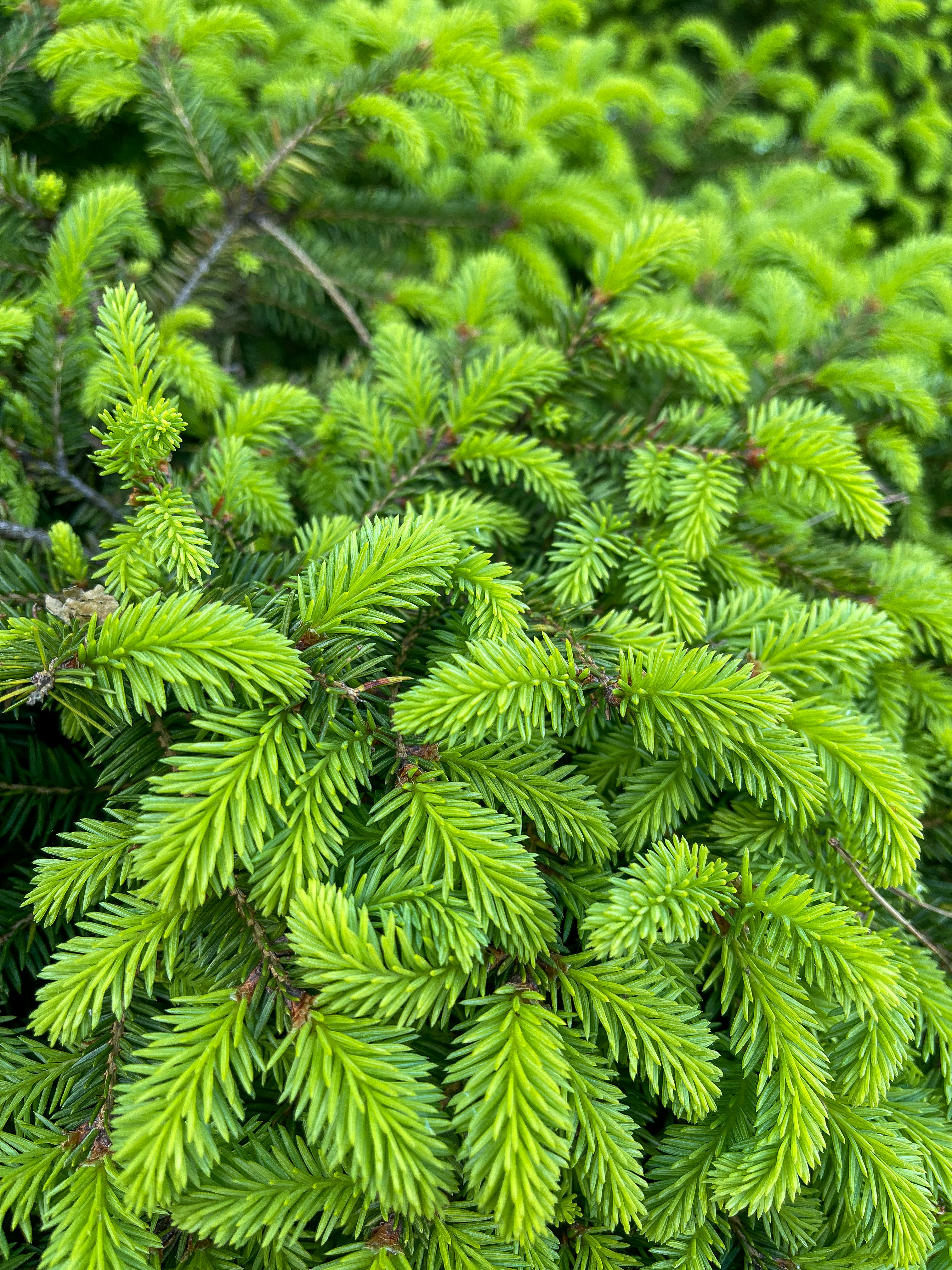 Photo by vl_cherkasenko