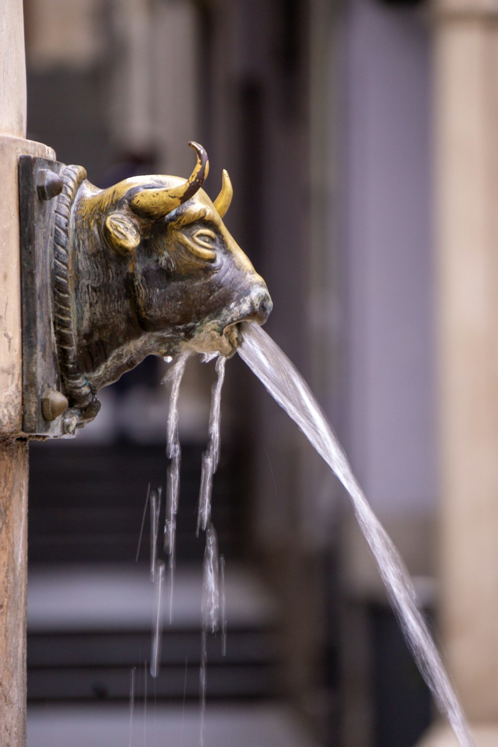 a statue of a bull is spewing water out of a fountain