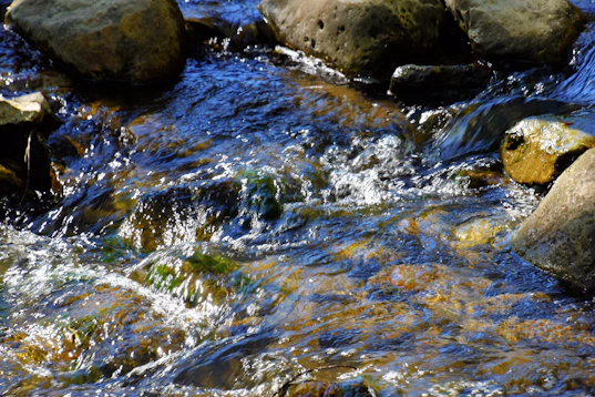 a close up of a river with rocks and water