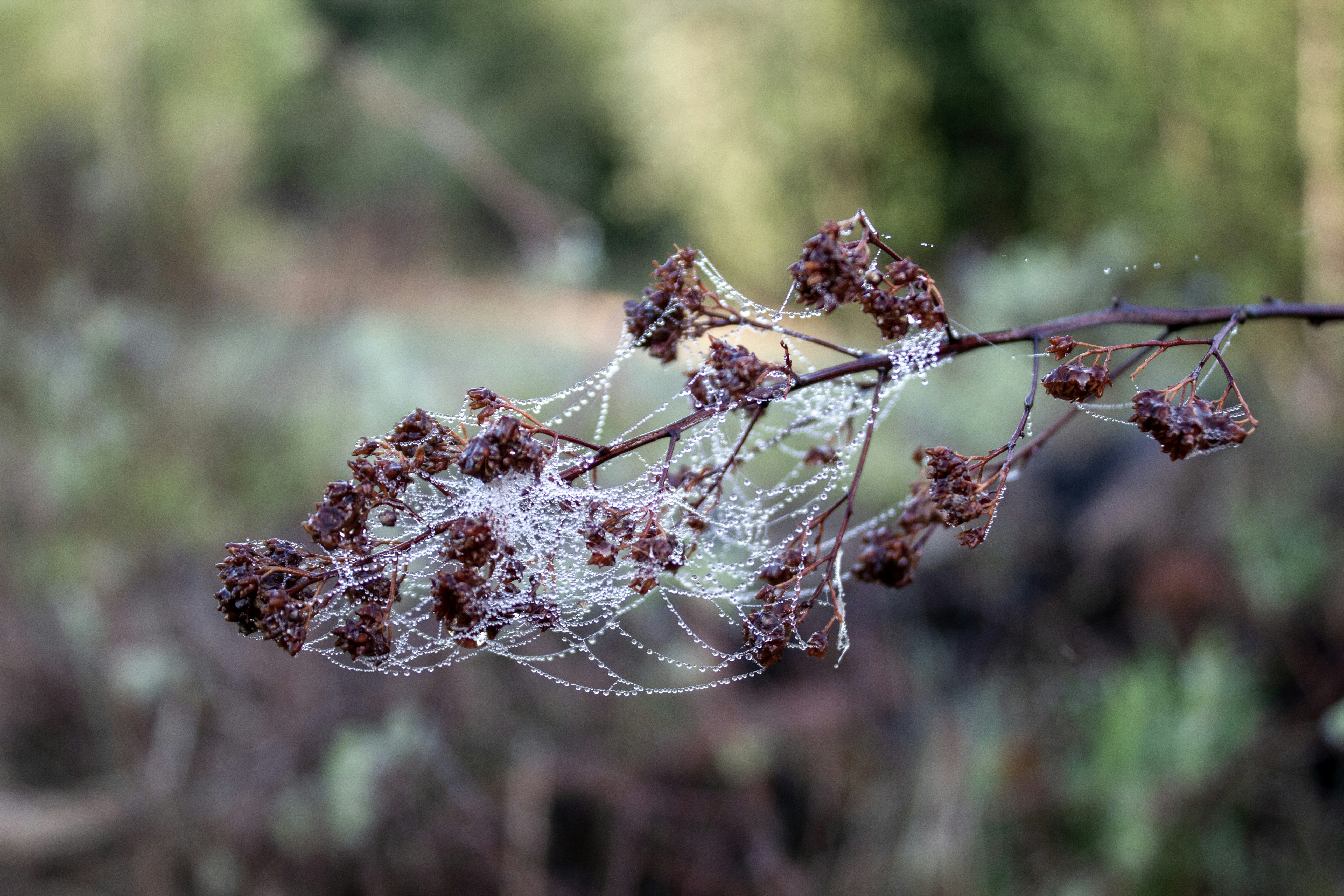 Photo by wondroustrange