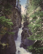 a waterfall in the middle of a forest