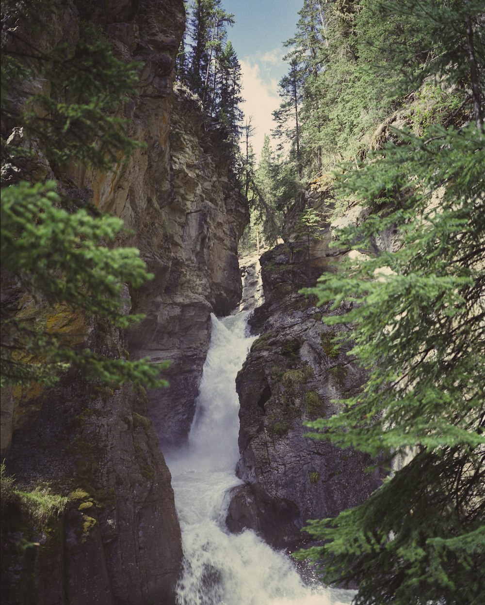 a waterfall in the middle of a forest