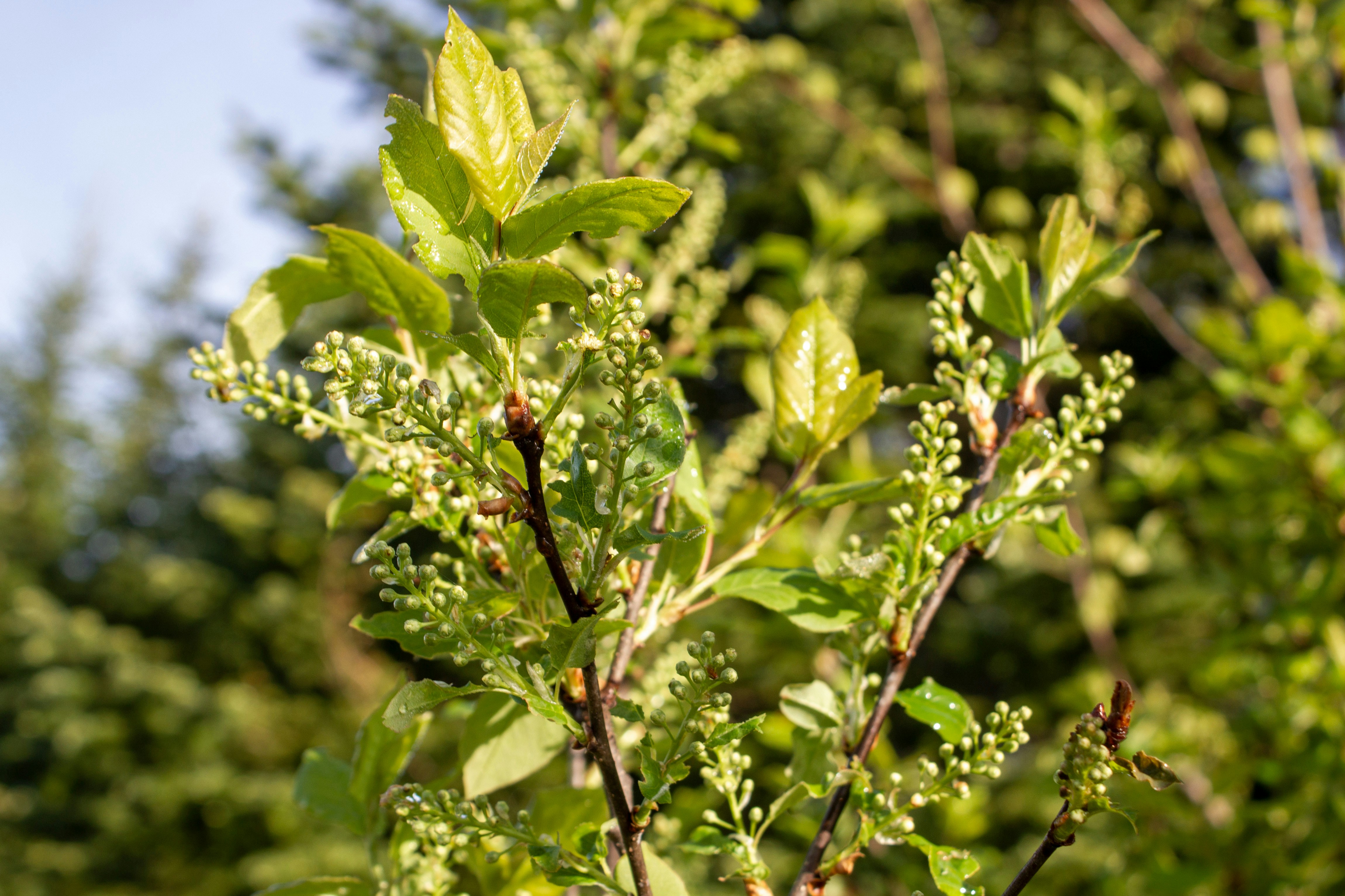 Photo by wondroustrange