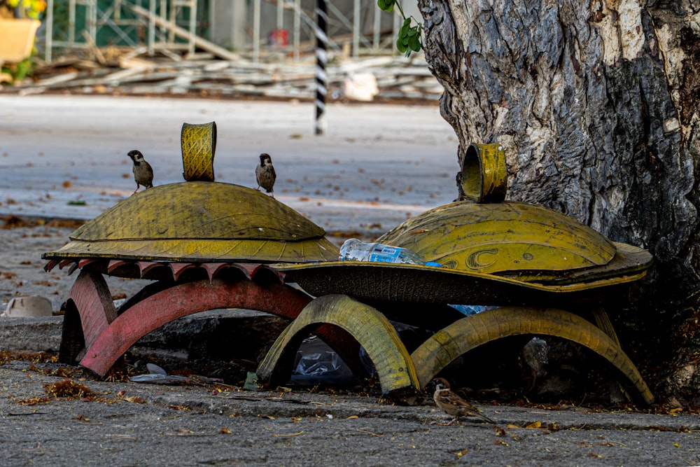 a couple of yellow helmets sitting next to a tree