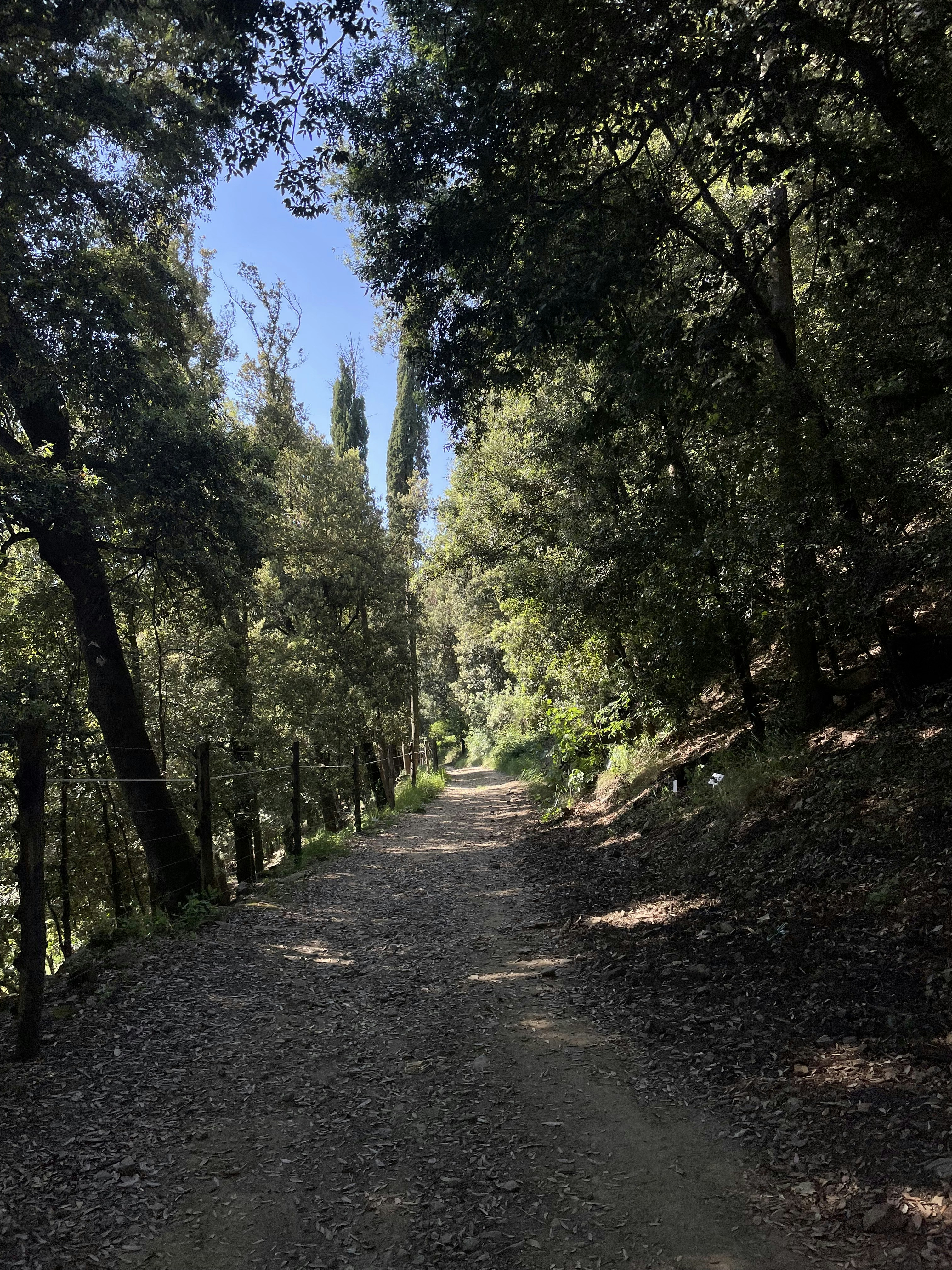 Photo by galifianakis