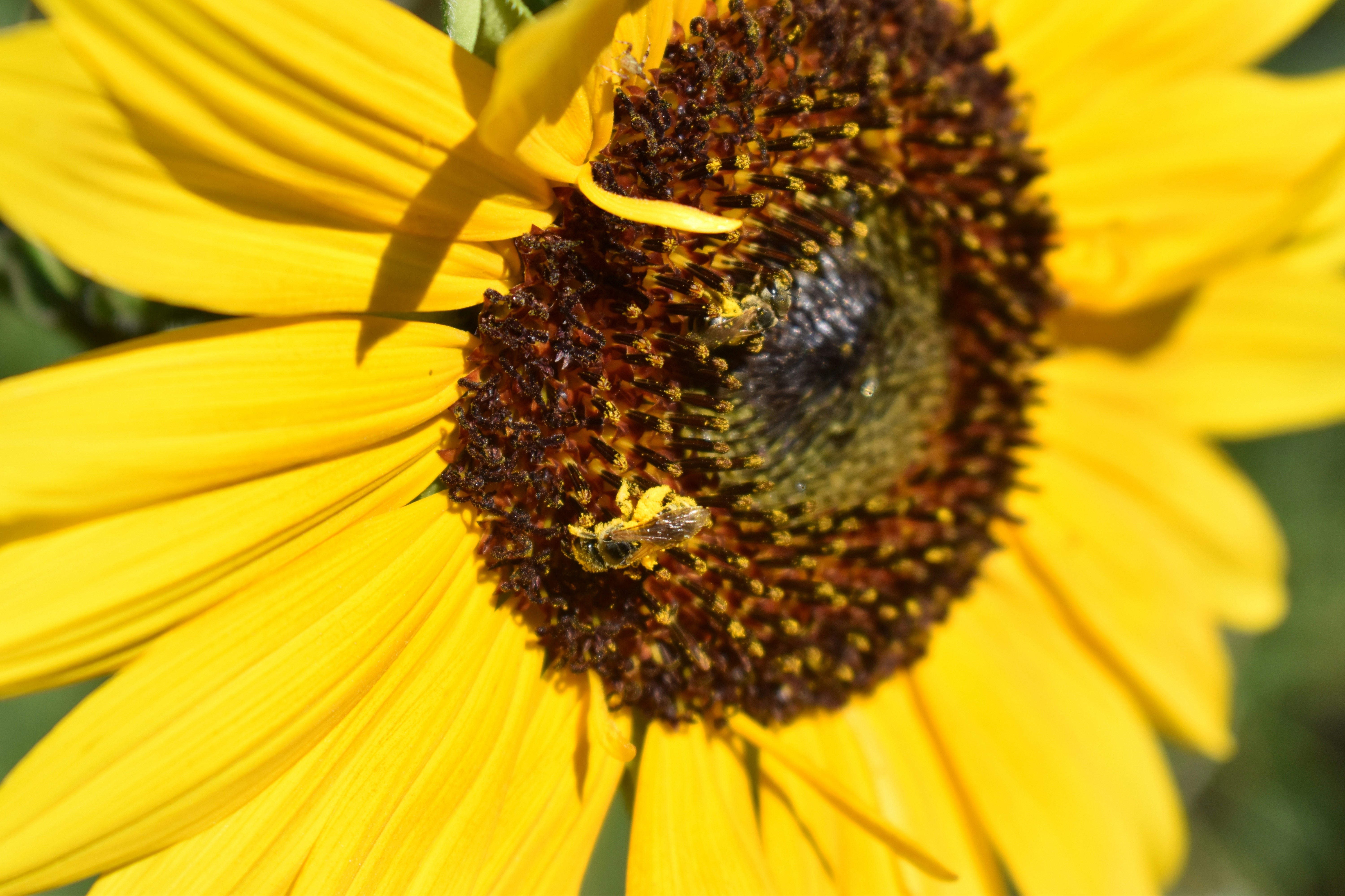 Photo by nothingnewphotos