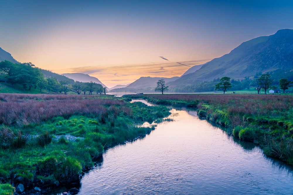 a river running through a lush green field