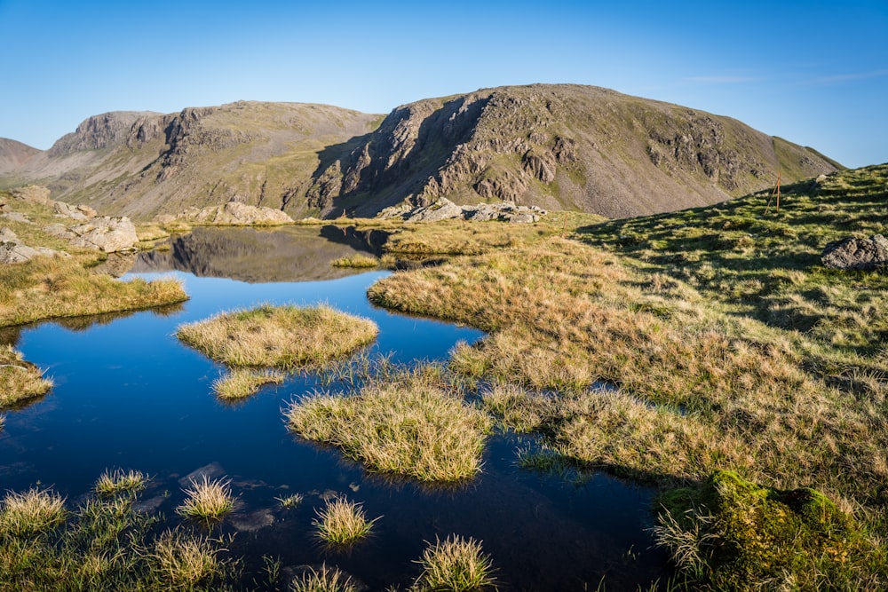 a small lake surrounded by grass and mountains