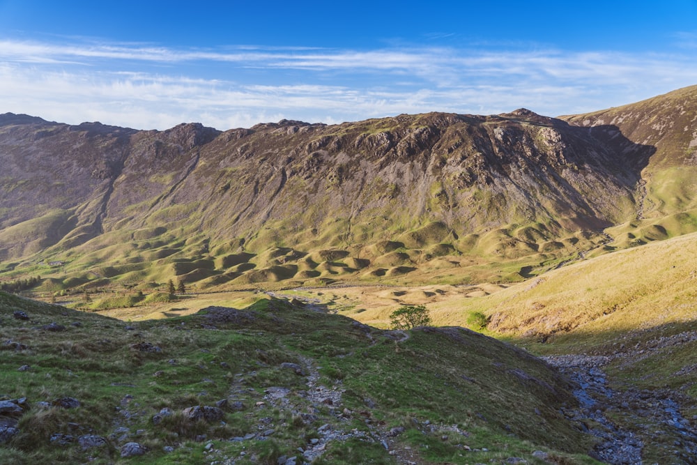 a view of a valley with a mountain in the background