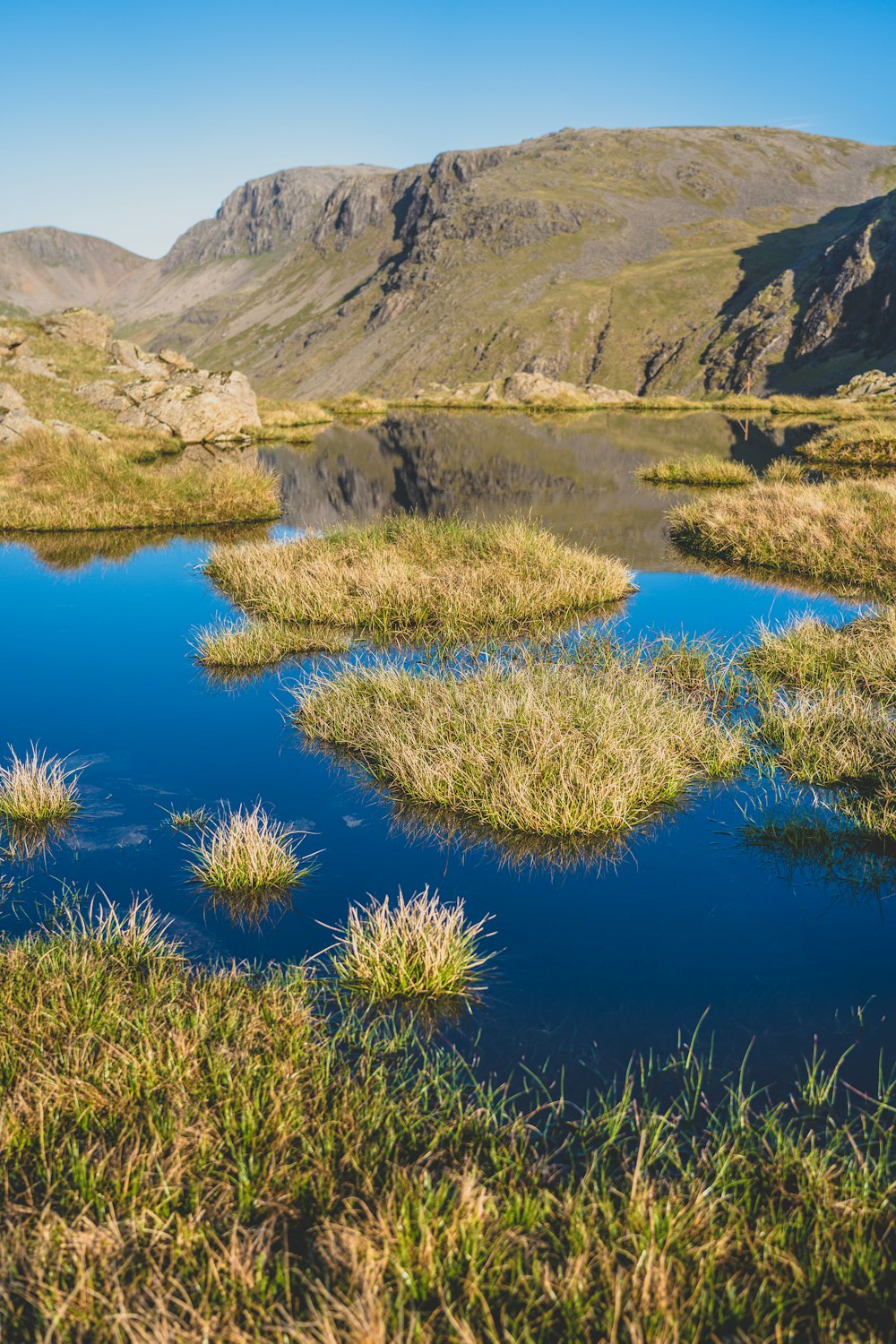 a small pond surrounded by grass and mountains