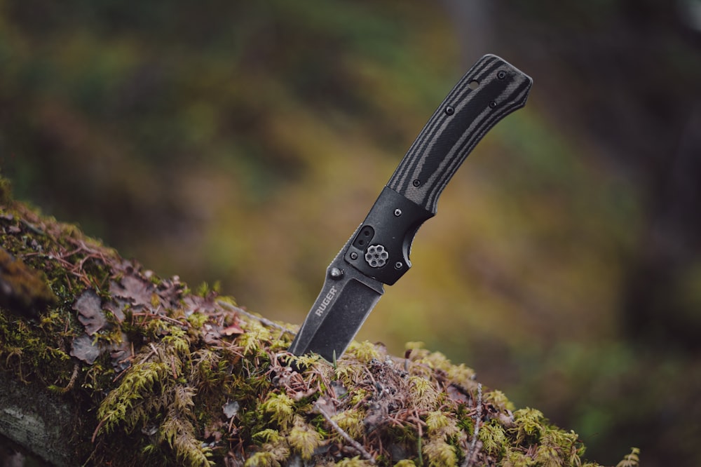 Ein schwarzes Messer sitzt auf einem moosbedeckten Baum