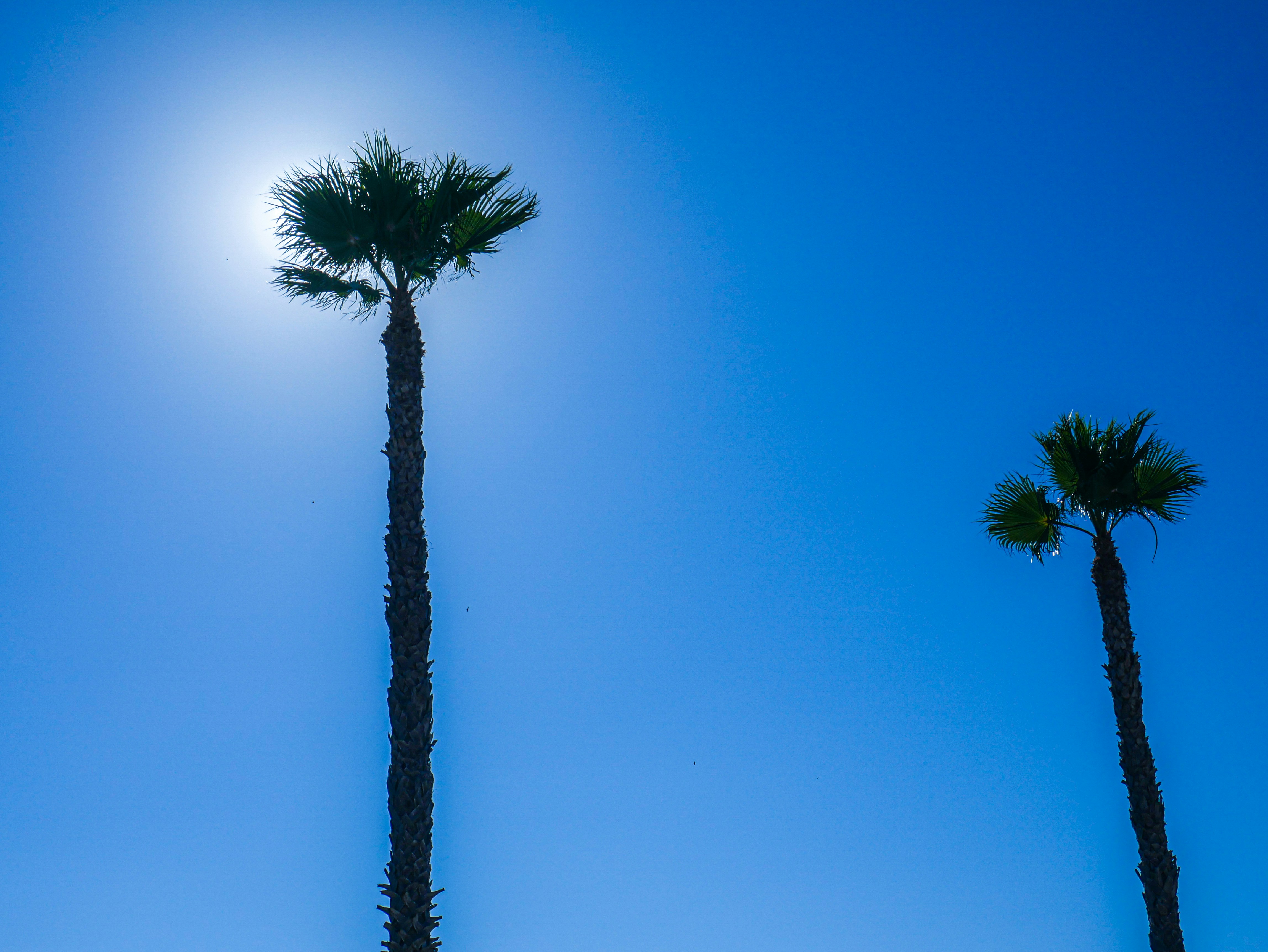 Photo by blogphotosandstories